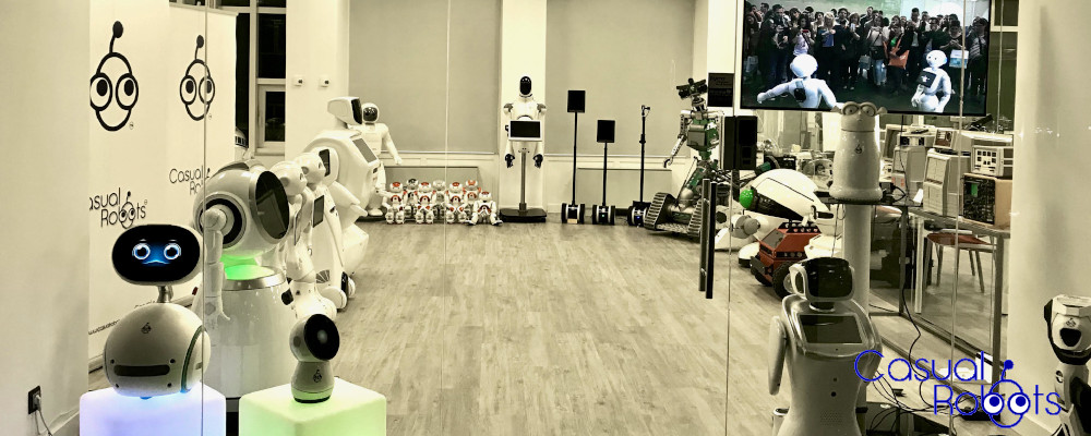 Techsites Casual Robots Galería 3