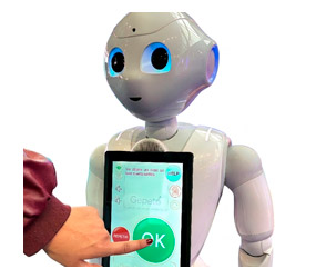 GePeTo Casual Robots